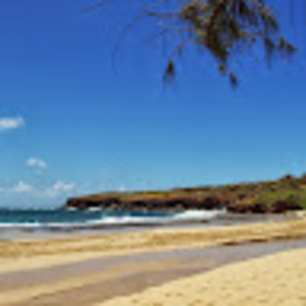 Meet your Posher, Beach